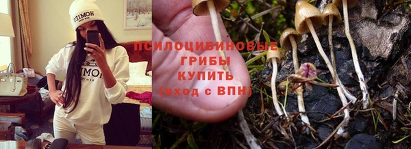 гашик Абинск