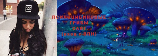 спиды Абаза