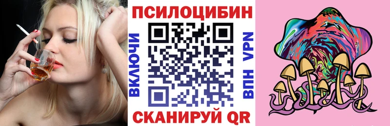 Псилоцибиновые грибы Psilocybe  купить  сайты  Кашира 
